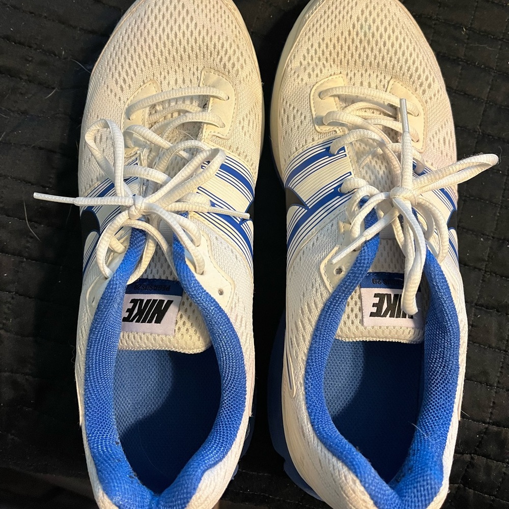 Mens Nike Air Zoom Pegasus 29. Size 11.5. White, blue.